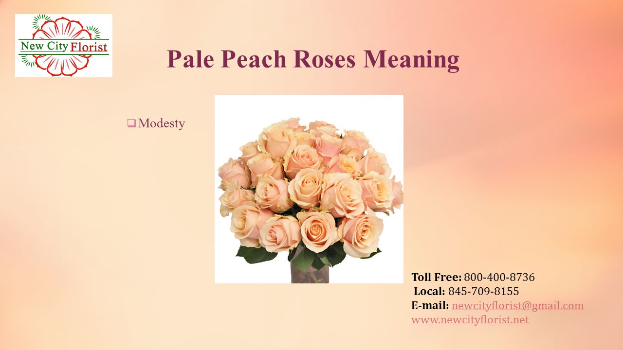 Toll Free: Local: Pale Peach Roses Meaning  Modesty