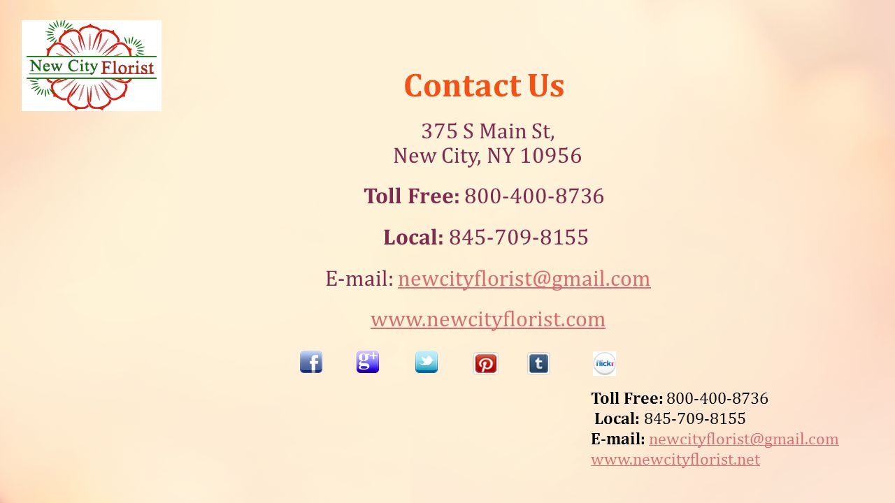 Toll Free: Local: Contact Us 375 S Main St, New City, NY Toll Free: Local: