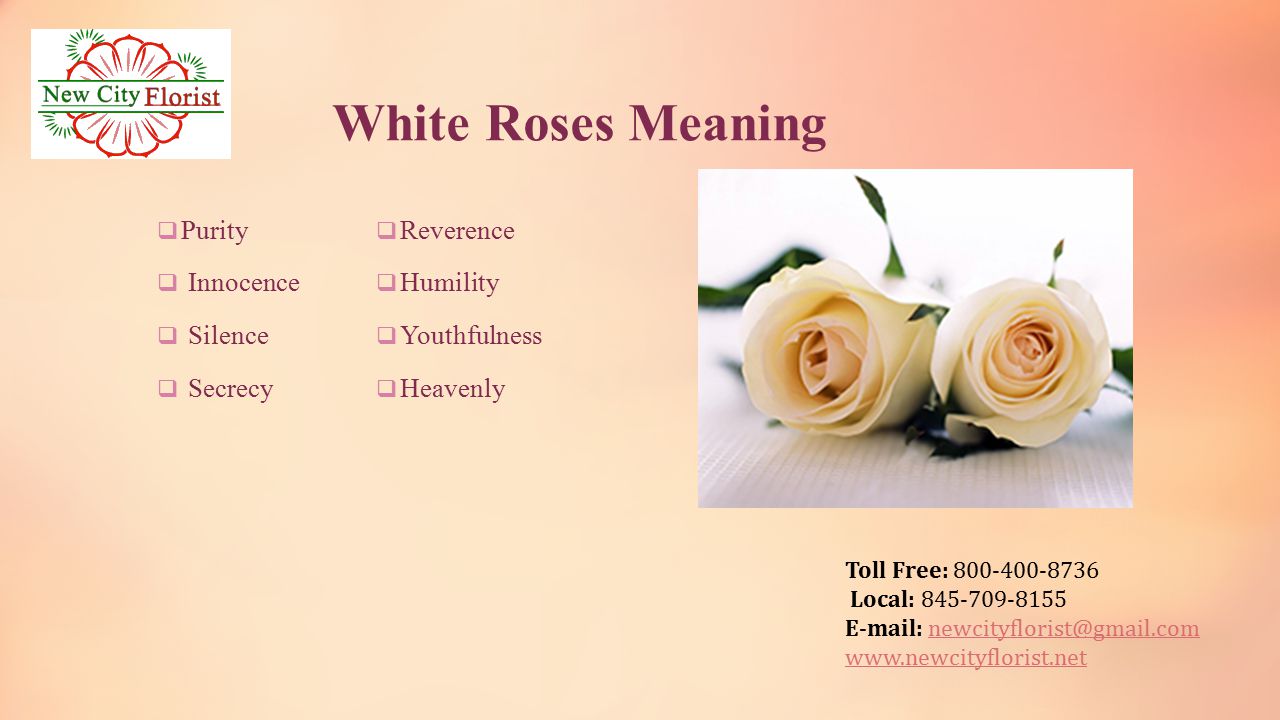 Toll Free: Local: White Roses Meaning  Purity  Innocence  Silence  Secrecy  Reverence  Humility  Youthfulness  Heavenly