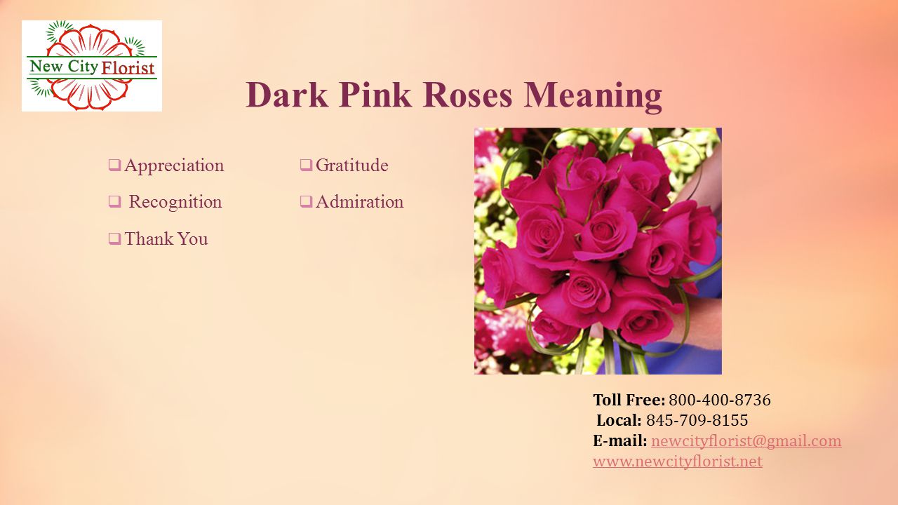 Toll Free: Local: Dark Pink Roses Meaning  Appreciation  Recognition  Thank You  Gratitude  Admiration