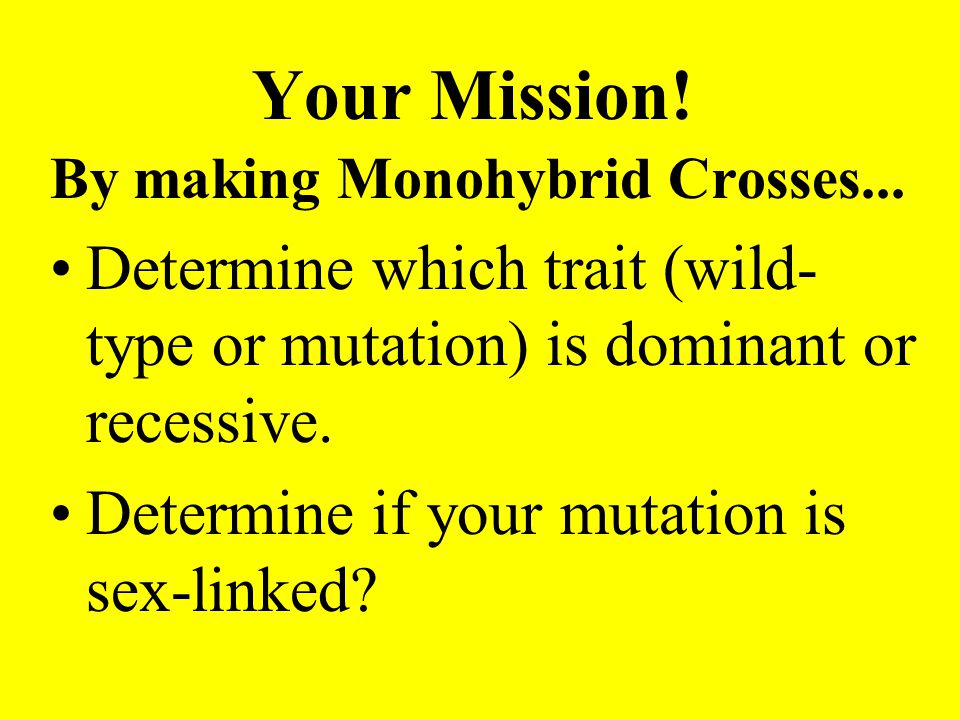 Your Mission. By making Monohybrid Crosses...