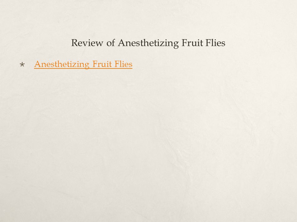 Review of Anesthetizing Fruit Flies  Anesthetizing Fruit Flies Anesthetizing Fruit Flies
