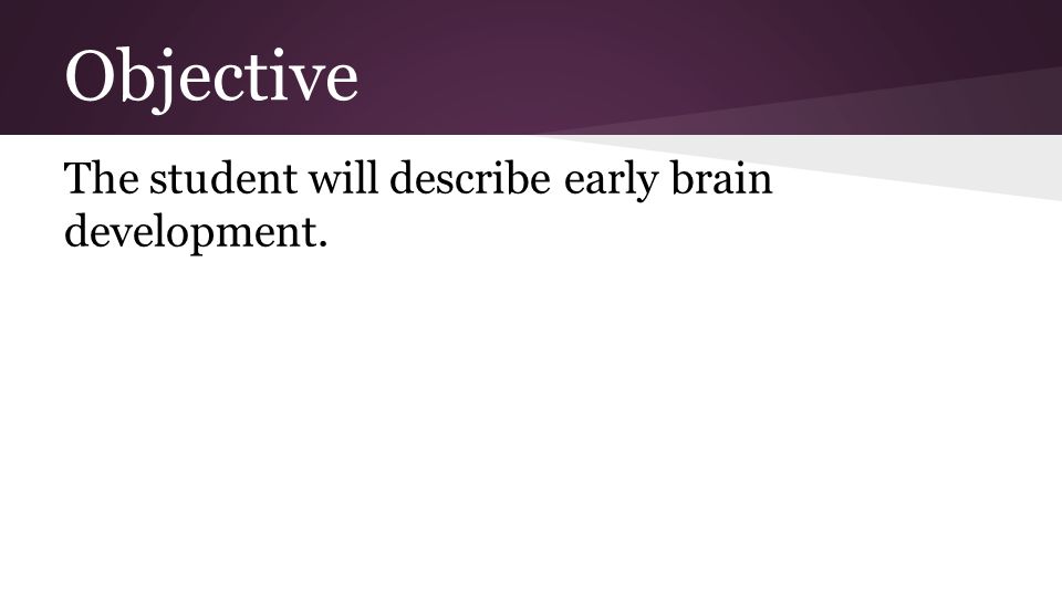 Objective The student will describe early brain development.