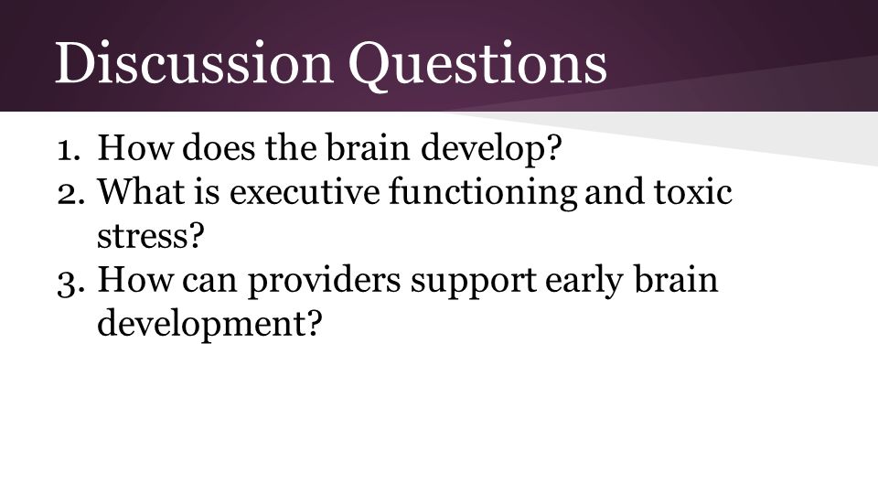 Discussion Questions 1.How does the brain develop.