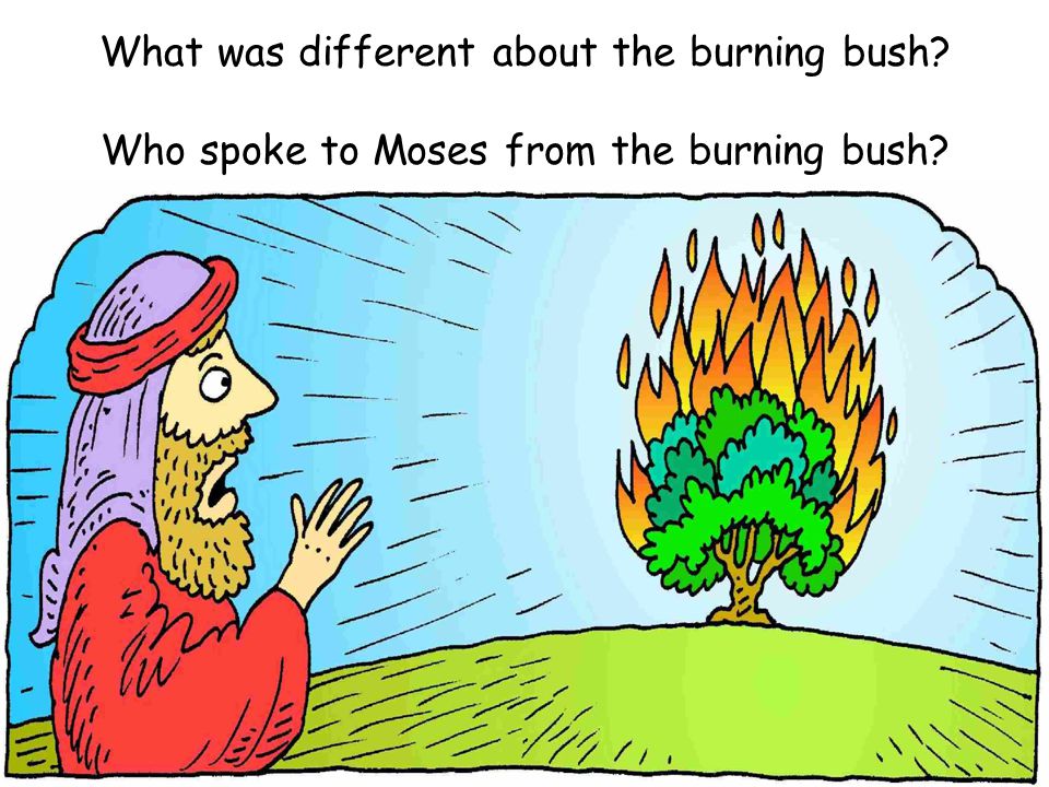 What was different about the burning bush Who spoke to Moses from the burning bush