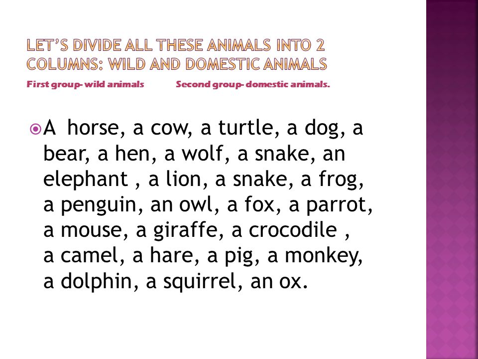 First group- wild animals Second group- domestic animals.