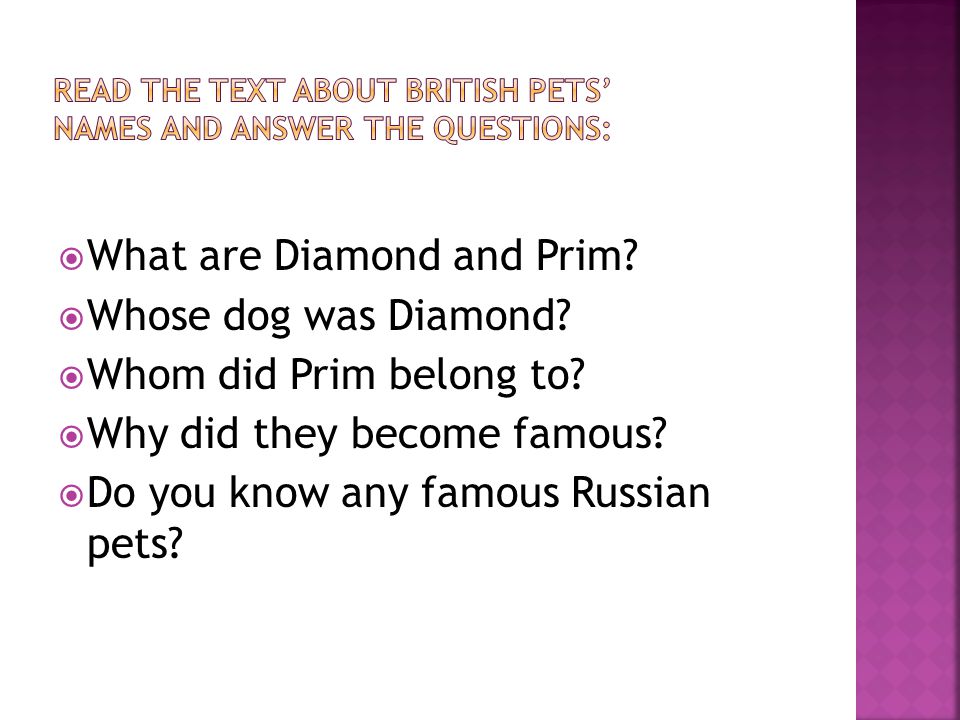  What are Diamond and Prim.  Whose dog was Diamond.