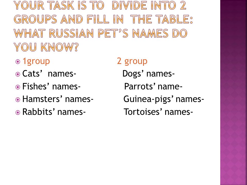  1group 2 group  Cats’ names- Dogs’ names-  Fishes’ names- Parrots’ name-  Hamsters’ names- Guinea-pigs’ names-  Rabbits’ names- Tortoises’ names-