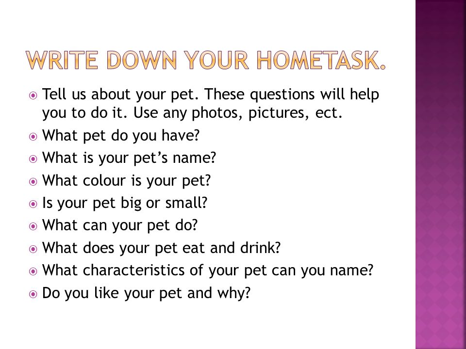  Tell us about your pet. These questions will help you to do it.