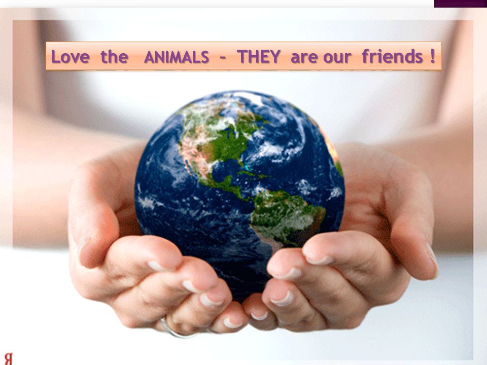 Love the ANIMALS – THEY are our friends !