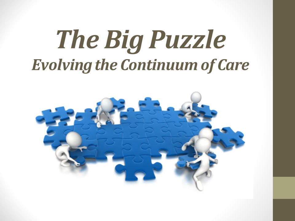 The Big Puzzle Evolving the Continuum of Care