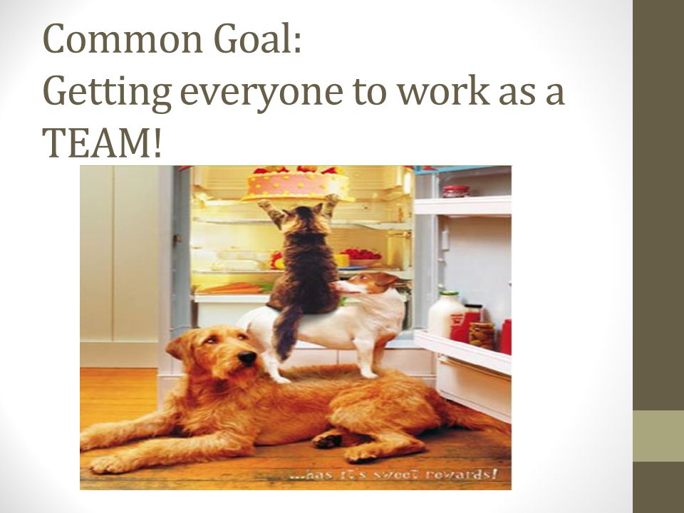 Common Goal: Getting everyone to work as a TEAM!