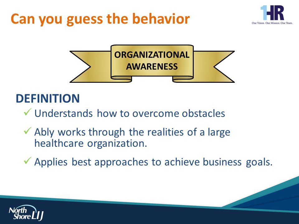 DEFINITION Understands how to overcome obstacles Ably works through the realities of a large healthcare organization.