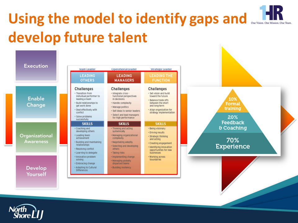 Using the model to identify gaps and develop future talent