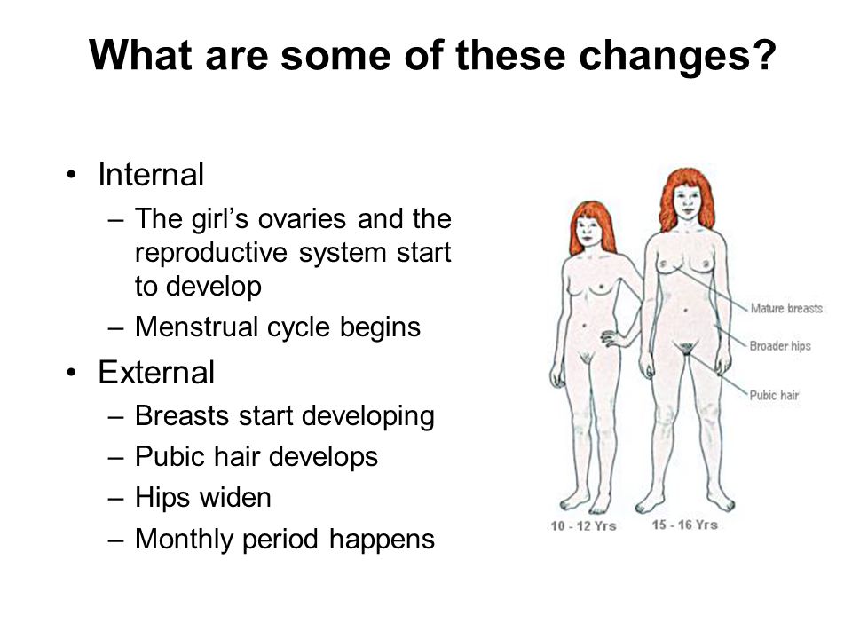 First Menstrual Period what you need to know