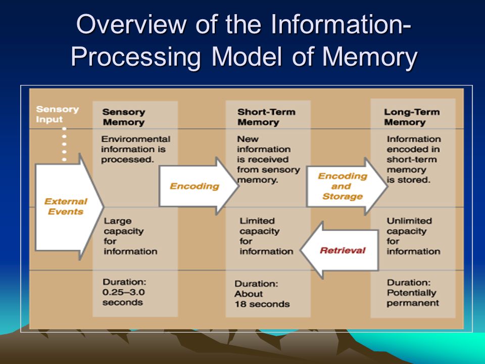 Overview of the Information- Processing Model of Memory