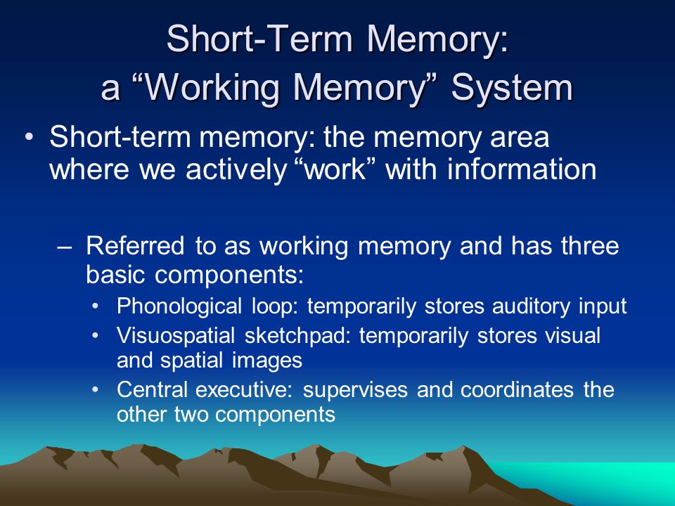 Short-Term Memory: a Working Memory System Short-term memory: the memory area where we actively work with information –Referred to as working memory and has three basic components: Phonological loop: temporarily stores auditory input Visuospatial sketchpad: temporarily stores visual and spatial images Central executive: supervises and coordinates the other two components