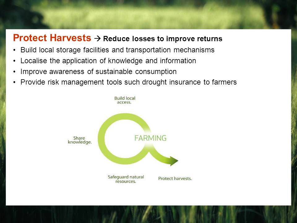 Protect Harvests  Reduce losses to improve returns Build local storage facilities and transportation mechanisms Localise the application of knowledge and information Improve awareness of sustainable consumption Provide risk management tools such drought insurance to farmers