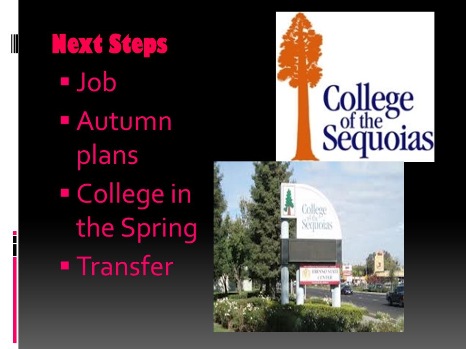 Next Steps  Job  Autumn plans  College in the Spring  Transfer