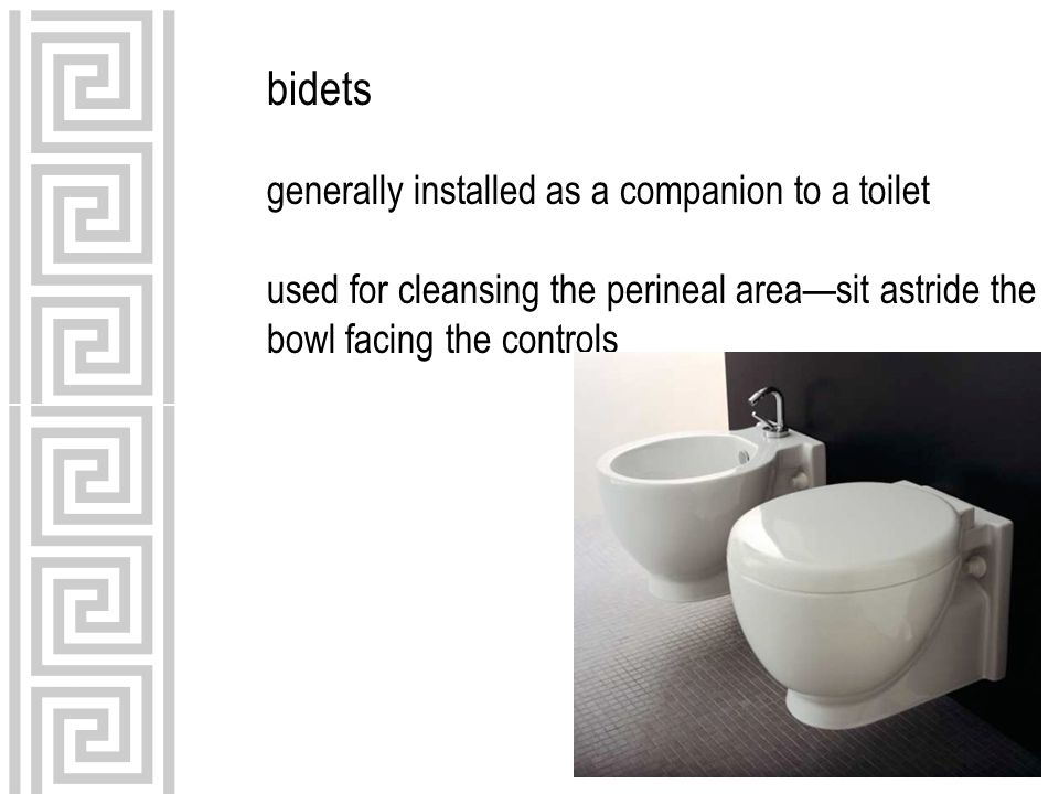 bidets generally installed as a companion to a toilet used for cleansing the perineal area—sit astride the bowl facing the controls