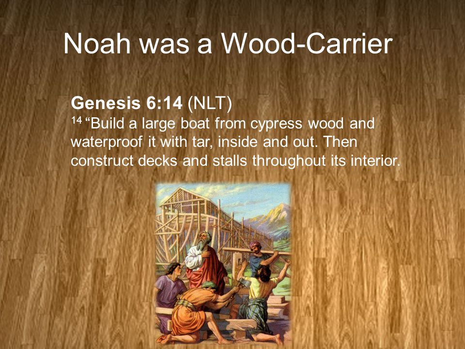 Noah was a Wood-Carrier Genesis 6:14 (NLT) 14 Build a large boat from cypress wood and waterproof it with tar, inside and out.