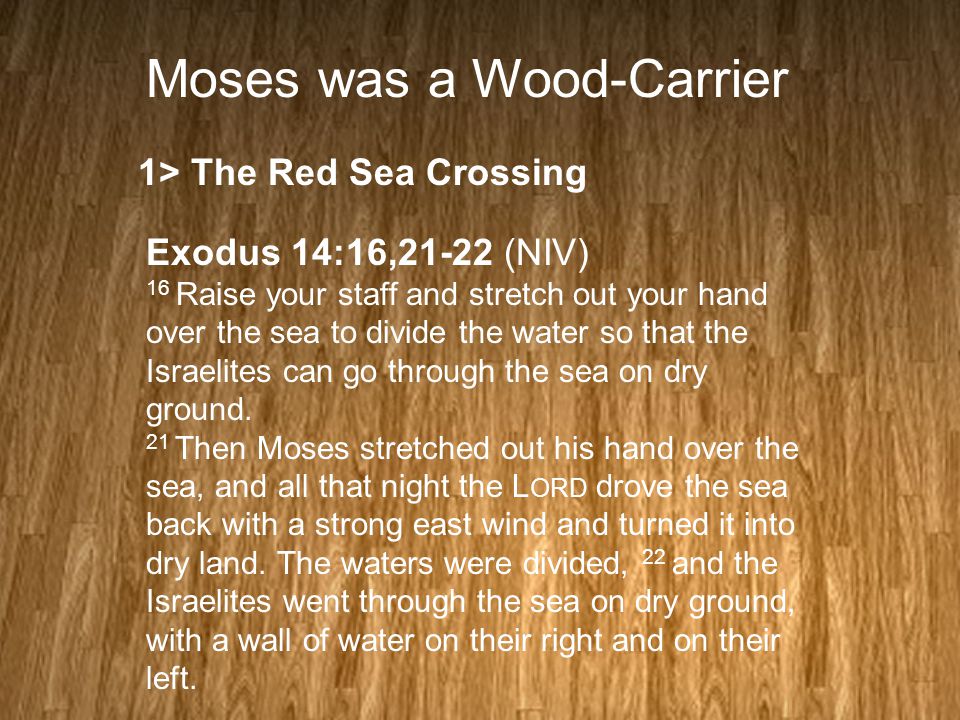 Moses was a Wood-Carrier 1> The Red Sea Crossing Exodus 14:16,21-22 (NIV) 16 Raise your staff and stretch out your hand over the sea to divide the water so that the Israelites can go through the sea on dry ground.