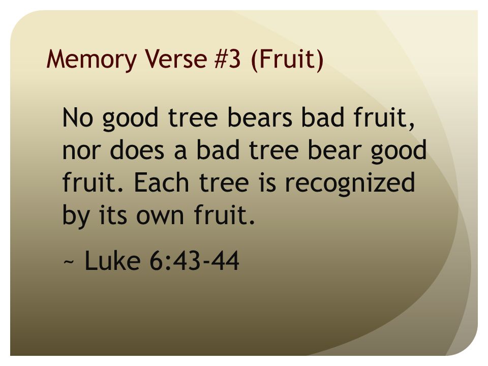 Memory Verse #3 (Fruit) No good tree bears bad fruit, nor does a bad tree bear good fruit.