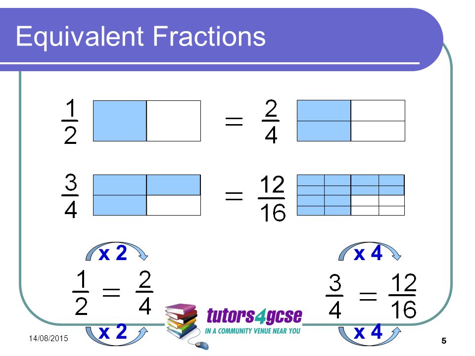 Equivalent Fractions 14/08/ x 2 x 4