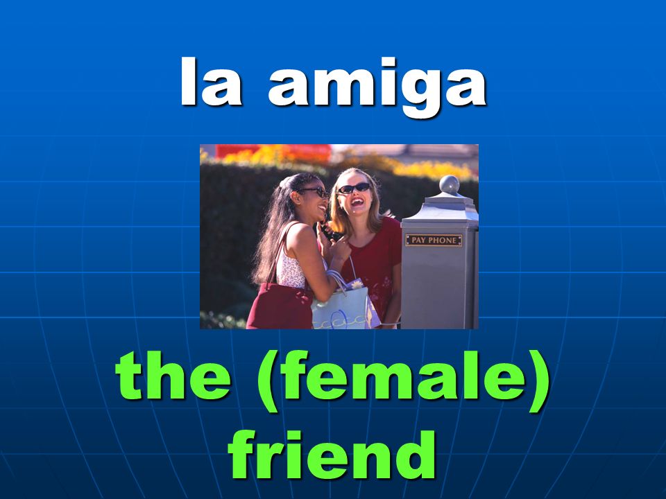 la amiga the (female) friend