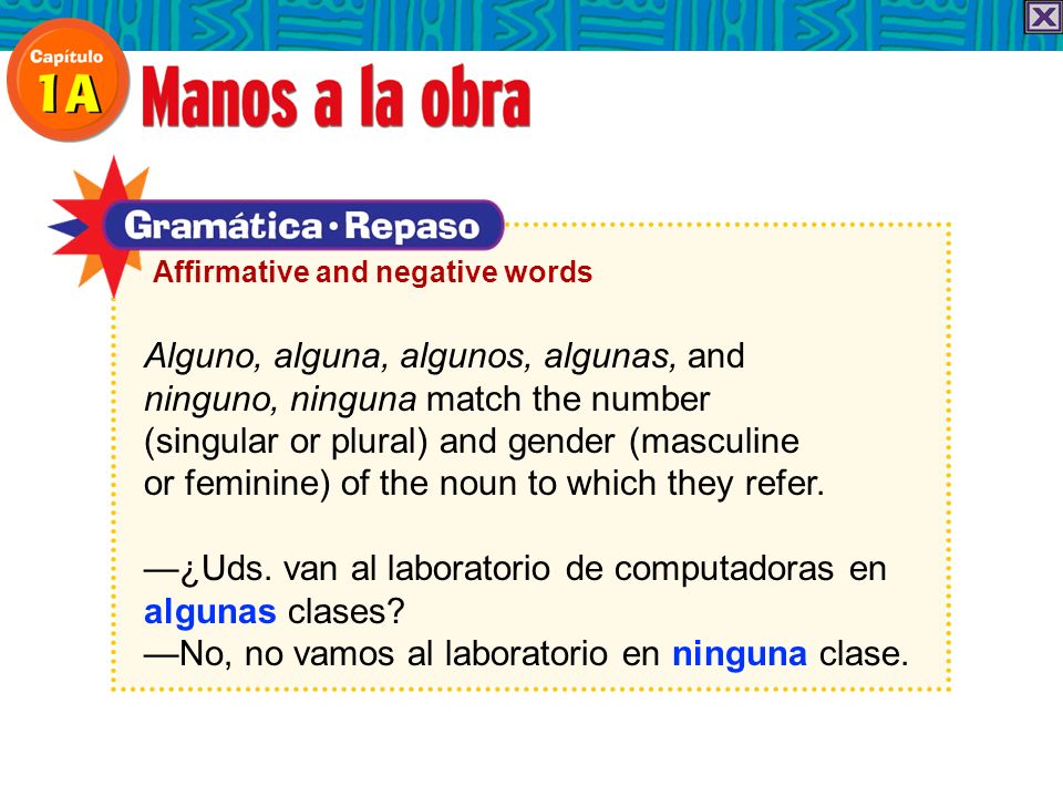 Alguno, alguna, algunos, algunas, and ninguno, ninguna match the number (singular or plural) and gender (masculine or feminine) of the noun to which they refer.