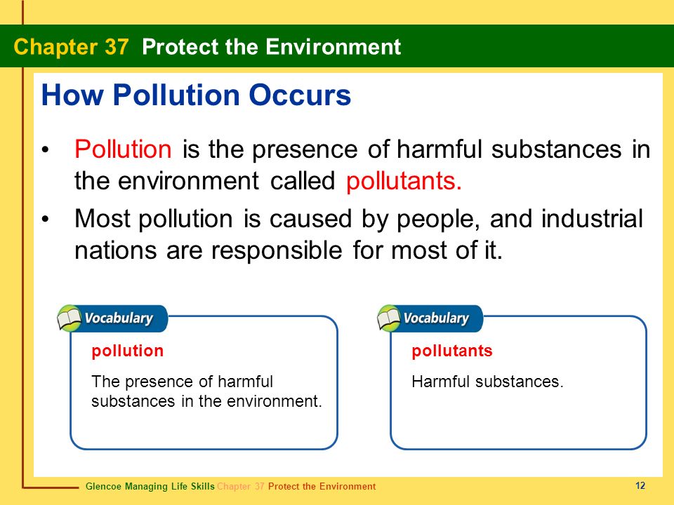 an essay on environment protection an essay on environment protection