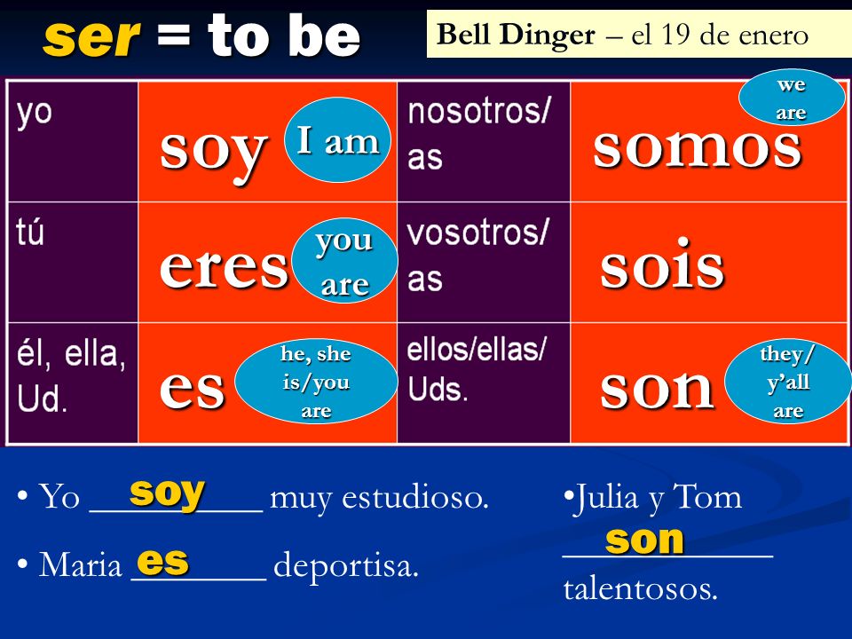 ser = to be soy eres es somos sois son I am you are he, she is/you are we are they/ yall are Yo _________ muy estudioso.