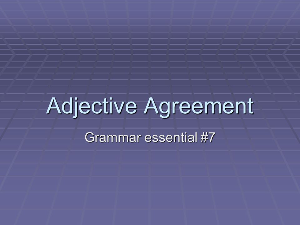 Adjective Agreement Grammar essential #7