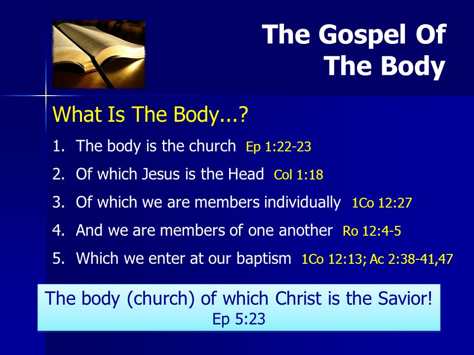 What Is The Body The body is the church Ep 1: