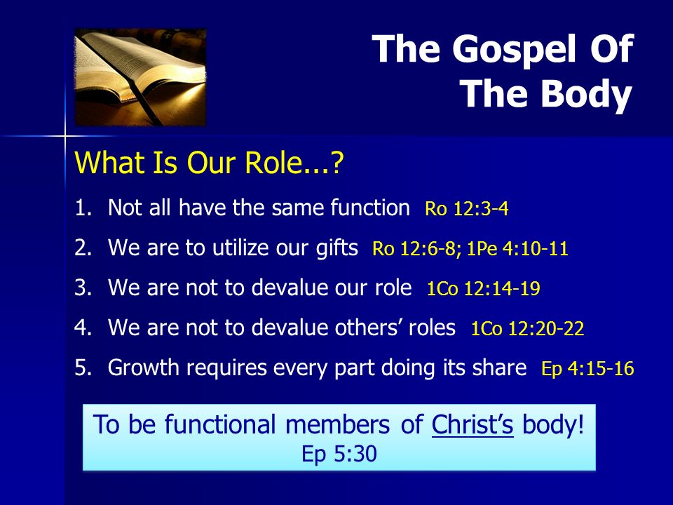 What Is Our Role Not all have the same function Ro 12: