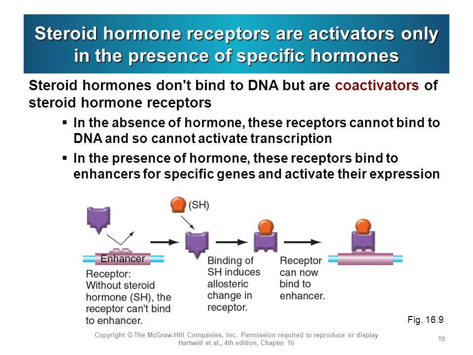 abnehmen durch hormone