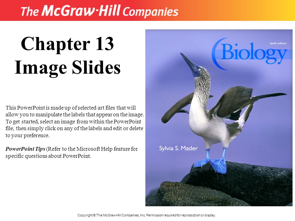Title Copyright © The McGraw-Hill Companies, Inc. Permission required for reproduction or display.