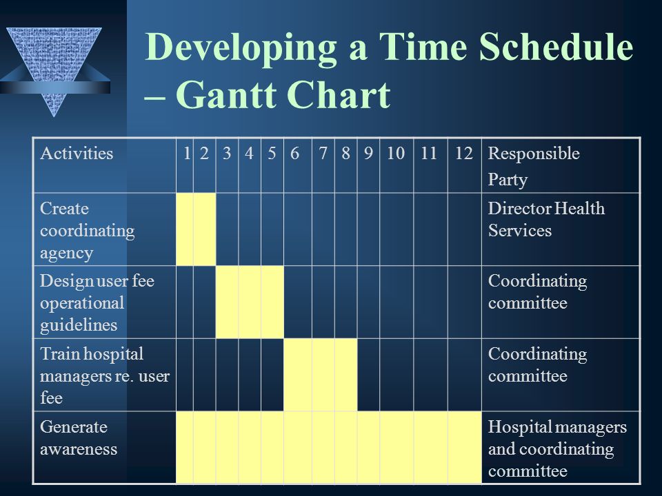 Developing a Time Schedule – Gantt Chart Activities Responsible Party Create coordinating agency Director Health Services Design user fee operational guidelines Coordinating committee Train hospital managers re.