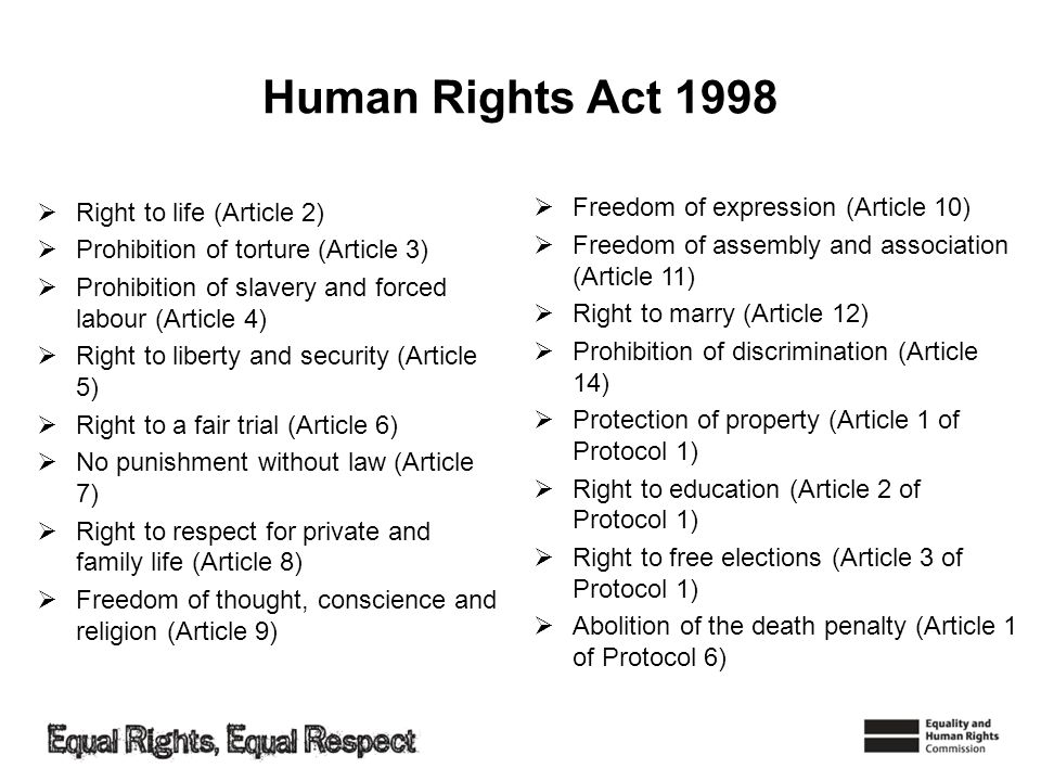 essays on human rights act essays on human rights act