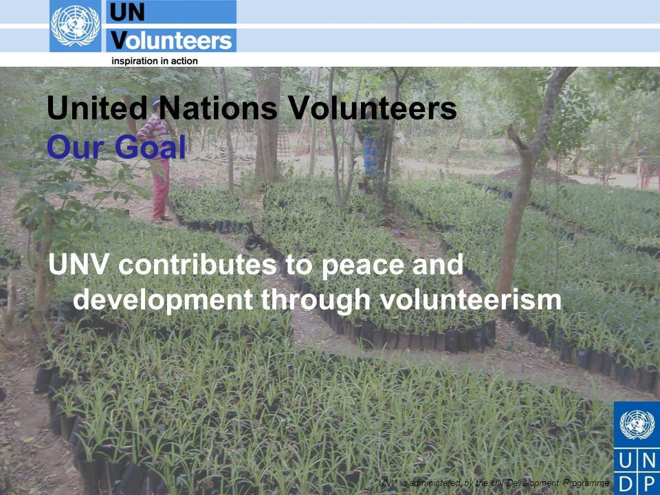 UNV is administered by the UN Development Programme United Nations Volunteers Our Goal UNV contributes to peace and development through volunteerism