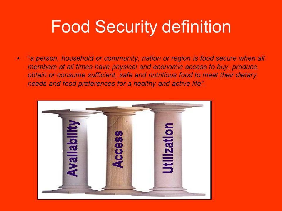 Food Security definition a person, household or community, nation or region is food secure when all members at all times have physical and economic access to buy, produce, obtain or consume sufficient, safe and nutritious food to meet their dietary needs and food preferences for a healthy and active life.