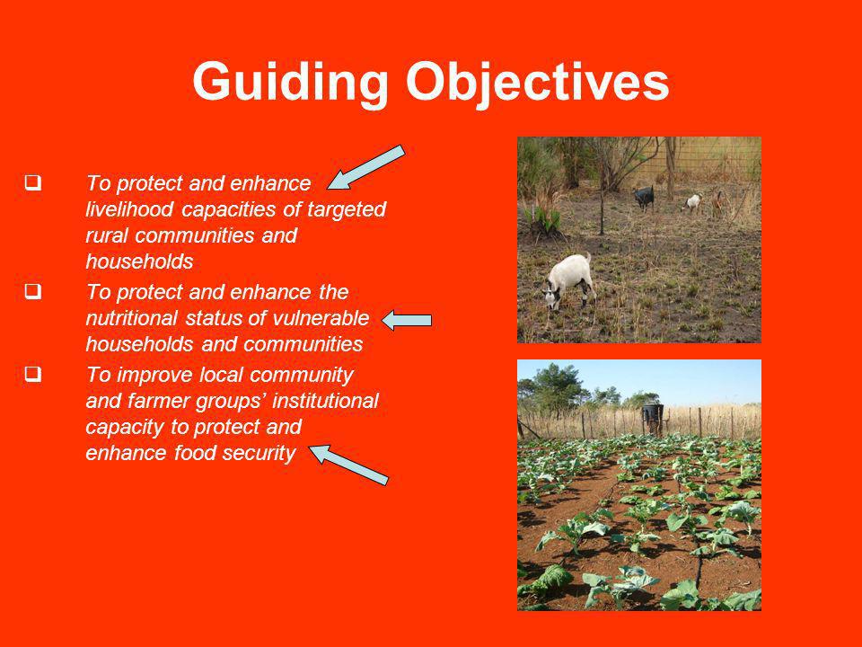 Guiding Objectives To protect and enhance livelihood capacities of targeted rural communities and households To protect and enhance the nutritional status of vulnerable households and communities To improve local community and farmer groups institutional capacity to protect and enhance food security