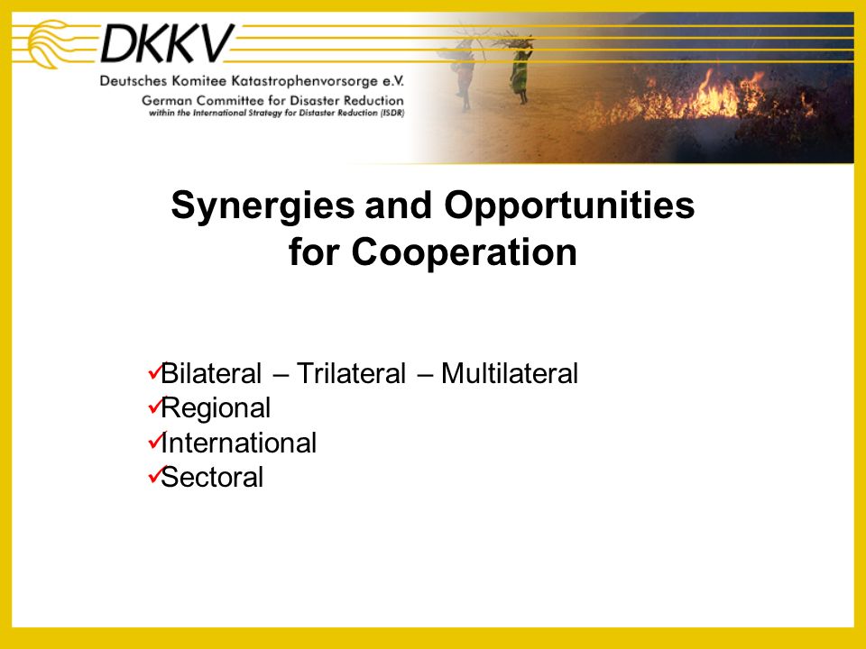 Synergies and Opportunities for Cooperation Bilateral – Trilateral – Multilateral Regional International Sectoral