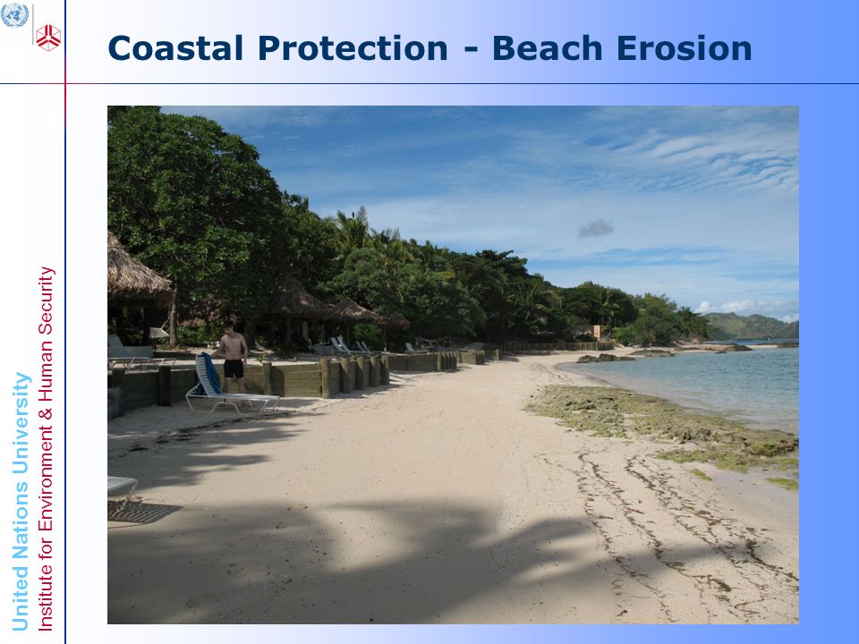 United Nations University Institute for Environment & Human Security Coastal Protection - Beach Erosion Global Platform June 2009