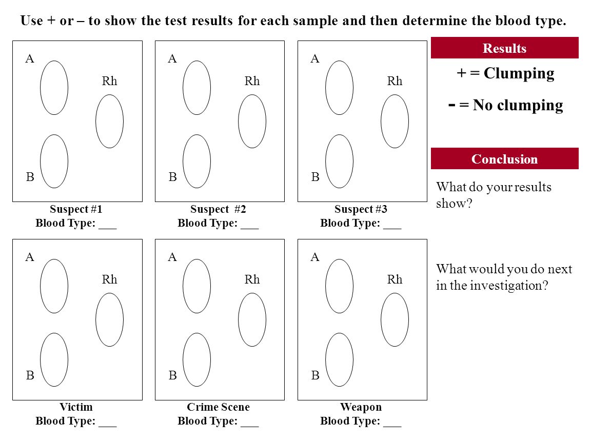 Printables Blood Typing Worksheet worksheet blood typing kerriwaller printables lab 8 th grade forensic science t trimpe ppt download