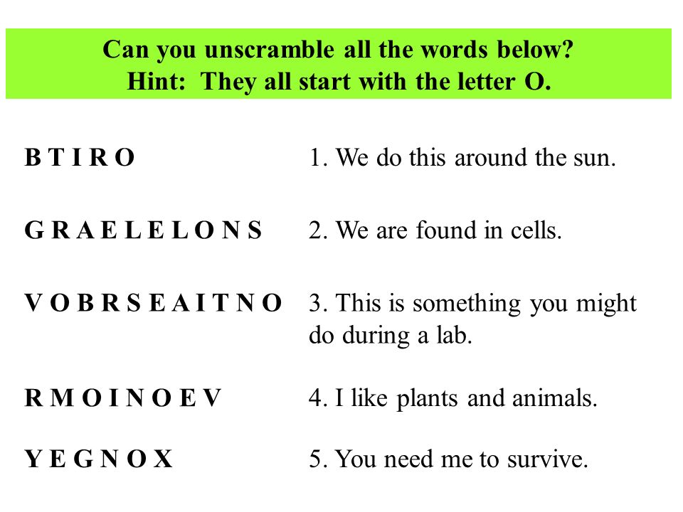 o words t trimpe can you unscramble all the words below hint they words that start with the letter o