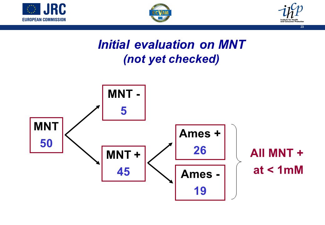 23 Initial evaluation on MNT (not yet checked) MNT 50 All MNT + at < 1mM MNT + 45 Ames + 26 Ames - 19 MNT - 5