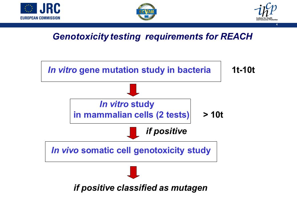 4 Genotoxicity testing requirements for REACH In vitro gene mutation study in bacteria 1t-10t In vitro study in mammalian cells (2 tests)> 10t In vivo somatic cell genotoxicity study if positive if positive classified as mutagen