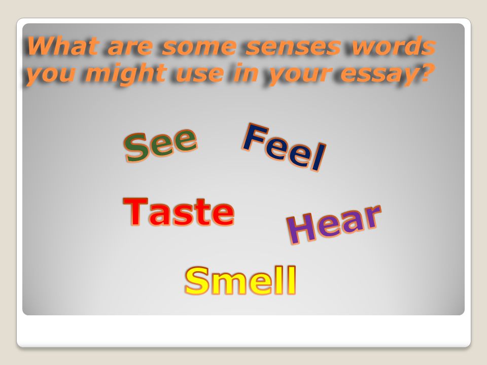 What are some senses words you might use in your essay