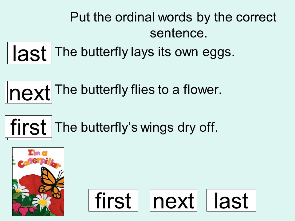 Put the ordinal words by the correct sentence. The butterfly lays its own eggs.